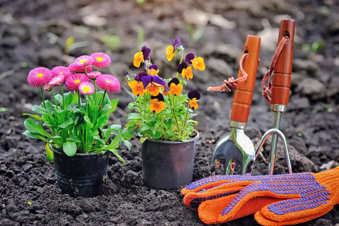 herramientas y minimacetas para jardineria en familia